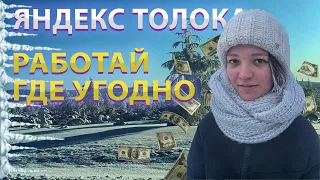 Яндекс Толока. Фишки и полевое задание