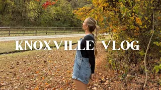 Knoxville Vlog: chatty catch up, home decor, daily life, gap year transition