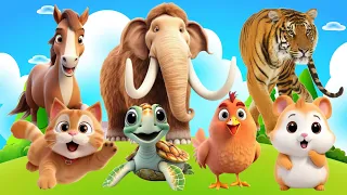 Animals Name & Sounds - Cow, Jaguar, Elephant, Squirrel, Puppie, Tiger, Snail, Monkey, Goat, Parrot