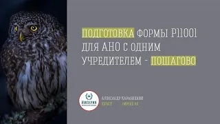 Регистрация АНО! Заполнение заявления Р11001 для открытия АНО с одним учредителем- физическим лицом!