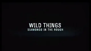 Wild Things: Diamonds in the Rough (2005) trailer