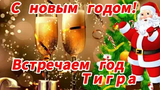 С Новым 2022 годом! Встречаем год ТИГРА! Задорная песня!