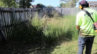 This Yard Wrecked My Mower | Overgrown Yard Transformation #satisfyingvideo #mowinggrass