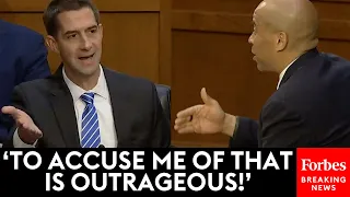 JUST IN: Tom Cotton And Cory Booker Spar During Judiciary Hearing