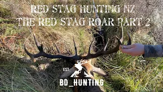 Red Stag Hunting NZ - The Red Stag Roar 2024 Part 2