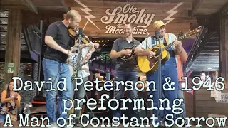Ole Smoky Tennessee Moonshine| Live Bluegrass| David Peterson & 1946  - A Man of Constant Sorrow