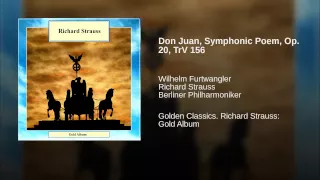 Don Juan, Symphonic Poem, Op. 20, TrV 156