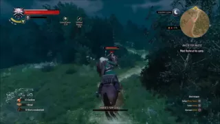 The beauty of violence! The Witcher 3: Slow Motion Bloody Executions