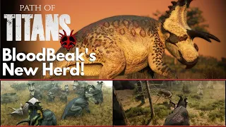 WWD Realism | A New Herd, Albertaceratops Experience | Path Of Titans