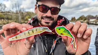 Perch Fishing HARD BAITS ONLY