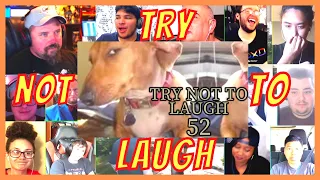 TRY NOT TO LAUGH CHALLENGE 52 - by AdikTheOne - REACTION MASHUP - [ACTION REACTION]