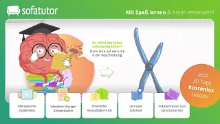 Mitose einfach erklärt – Erklärung, Phasen & Bedeutung