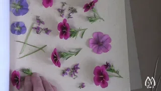 Flower Pressing Demonstration | Pressing Flowers Techniques | Tips | Tricks | Summer Flowers