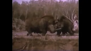 Journey to the Beginning of Time (1955) Woolly Rhinoceros