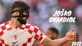 Joško Gvardiol 2022/2023 ● Best Skills & Goals ● [HD]