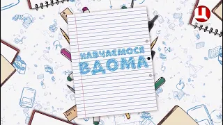 Навчаємося вдома. 1 клас. Урок №21