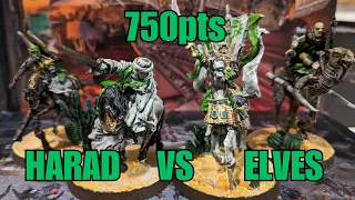 Harad & Far Harad vs Lothlorien 750pt MESBG Battle Report