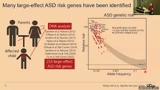 A Foundational Autism Protein Interaction Atlas Reveals Molecular Convergence