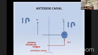 Abnormal Eye Movements (Part 3)