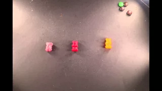 Evolution in Candy