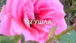 ТЫ УШЛА В НЕБЕСА, МАМА НАША… /христианский стих/ читает автор Анна Юркин@