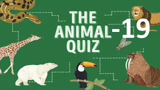 General Knowledge Quiz on animals Part 19