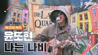 [DJ티비씨] 비긴 어스(윤도현) - 나는 나비 ♬ #유희열 #비긴어게인 #DJ티비씨