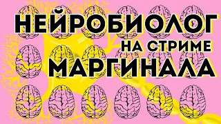 Нейробиолог про сны, алкоголь, и другие насущные проблемы.