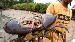 Amazing Catching The Big Crab Hiding in the Watery Mud