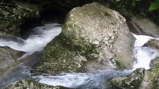 Абхазия Сухум Черниговка Экскурсия. водопады.