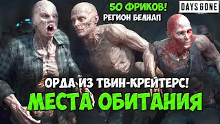 Орда из Твин-Крейтерс(Twin Craters Horde). 50 Фриков. Белнап. Места обитания #daysgone #horde