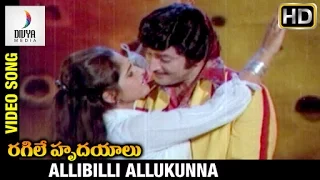 Ragile Hrudayalu Telugu Movie | Allibilli Allukunna Video Song | Krishna | Jayaprada | Divya Media