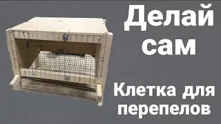 Клетка для перепелов, делаем сами клетку