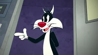 Looney Tunes Show-Sylvester Meets Wile E. Coyote