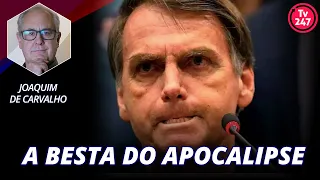 Bolsonaro e a semelhança gritante com a Besta do Apocalipse