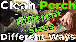 How to Clean White Perch :: Fast and Easy