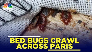 Bed Bugs Crawl Across Paris, Stoke Fears Ahead Of The Olympics | IN18V | CNBC TV18