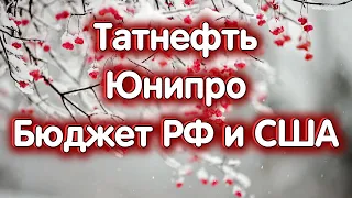 Татнефть об., Юнипро, бюджет РФ и США на 2024 год. Индекс МосБиржи. Обзор 08.01.2024