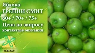 Яблоко Гренни Смит. Оптом. Цена по запросу. РостАгроЭкспорт