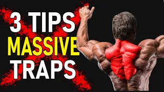 Top 3 Tips For Massive Traps