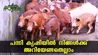 Best way to make Huge profit through Pig Farming | Modern Pig Farm | Haritham Sundaram EP 350