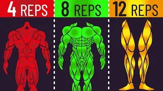 4 vs 8 vs 12 Reps for Strength & Hypertrophy