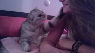 Ну целуй же меня.Самая ласковая кошка.)))