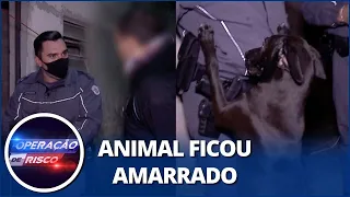 Rapaz é denunciado por maus-tratos e policial confronta: “É mais fácil você não ter o cachorro”