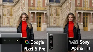 Google Pixel 6 Pro Vs Sony Xperia 1 III Camera Test