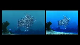 Finding Nemo Wide-Screen vs. Full-Screen