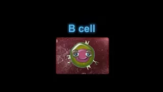 Supercytes cartoon - B cell
