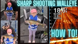 Easy walleye using live scope | How To