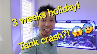 Ep. 06 Reef tank long vacation? Tank Automation, before and after vacation. Tank Crash???? 😱