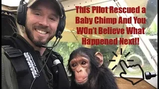 This Pilot Rescued A Baby Chimp And You WOn't Believe What Happened Next!